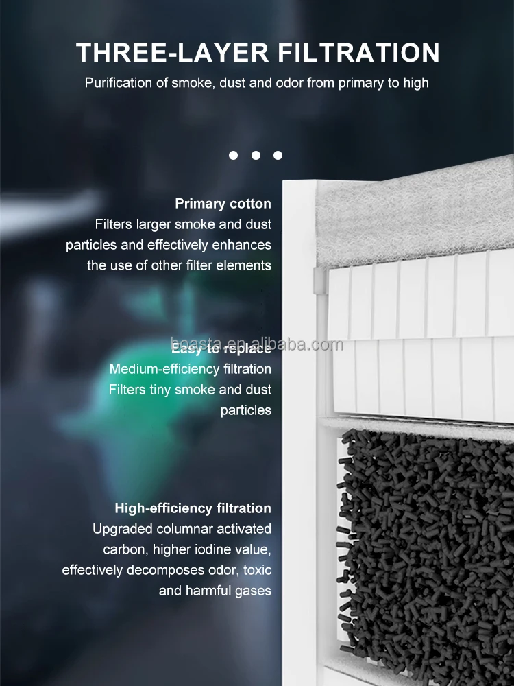 Boasta Smoke Air Purifier Dual - Jewelry Making In La 评论和价格